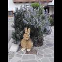 redecor-img