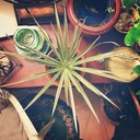 redecor-img