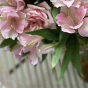 redecor-img