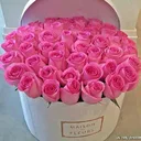 redecor-img