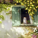 redecor-img