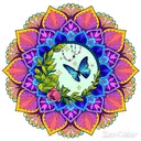 redecor-img