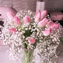 redecor-img