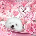 redecor-img